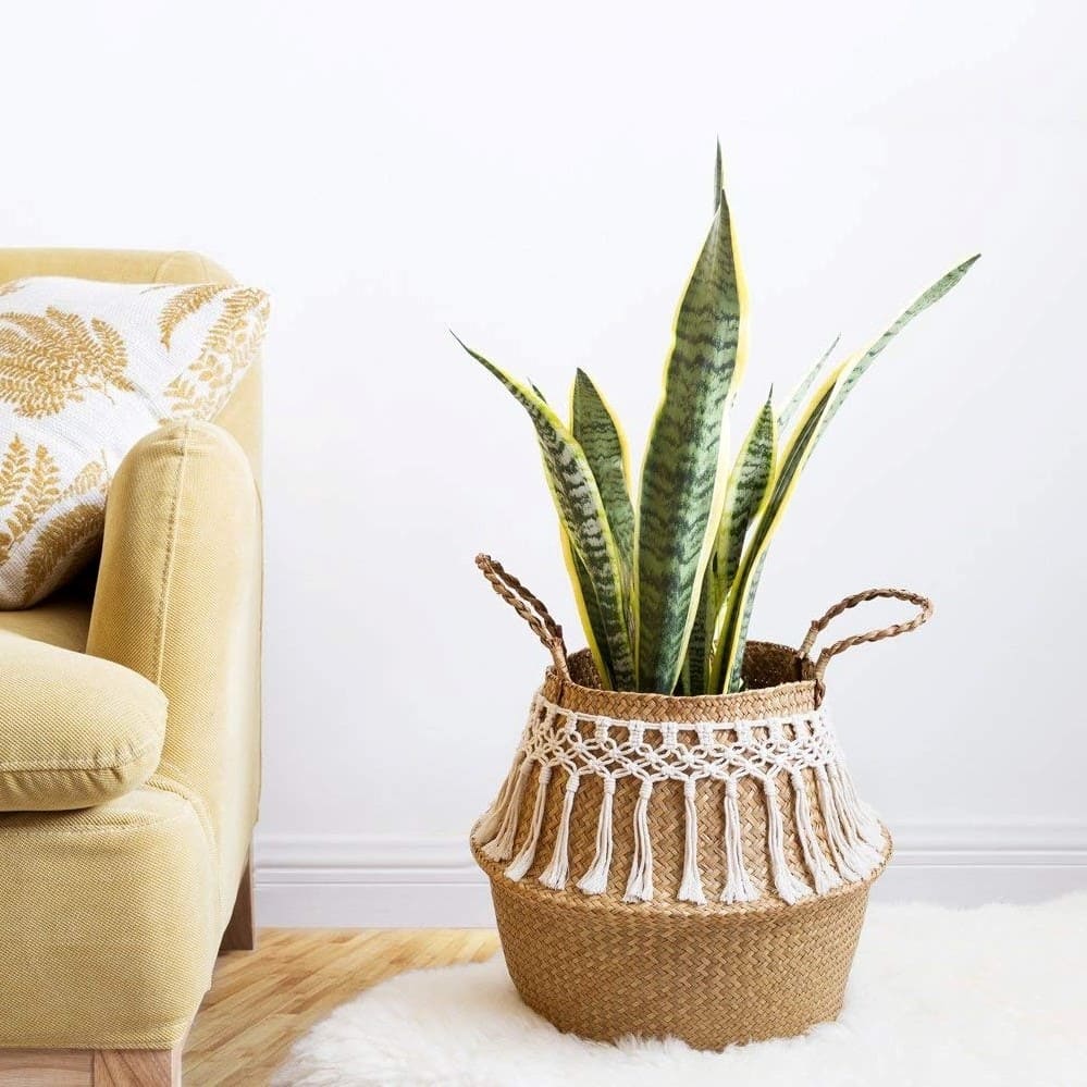 Panier en osier Macramé Chic & Nature Esprit Macramé