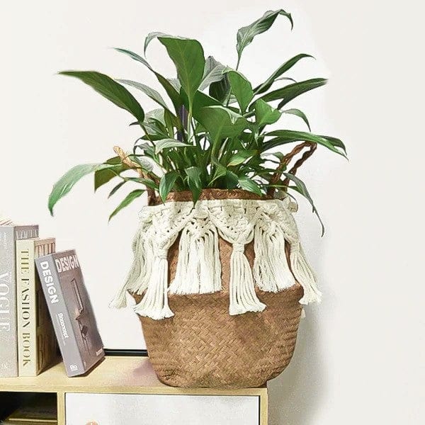 Panier Macramé Élégance Esprit Macramé