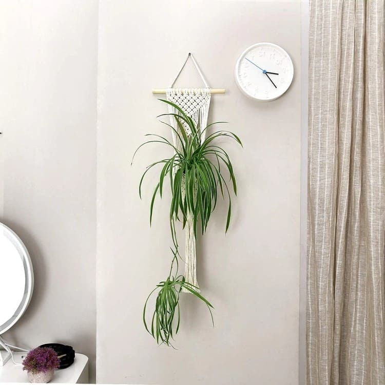 Porte-plante mural en Macramé Éléganza Esprit Macramé