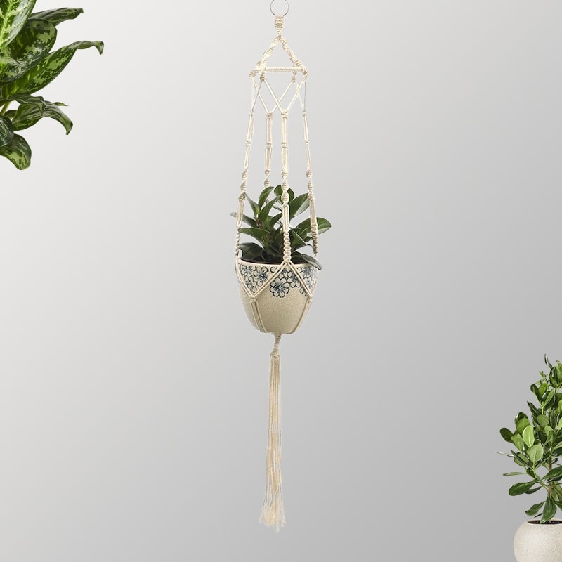Suspension Macramé Éclatante pour Pots Esprit Macramé