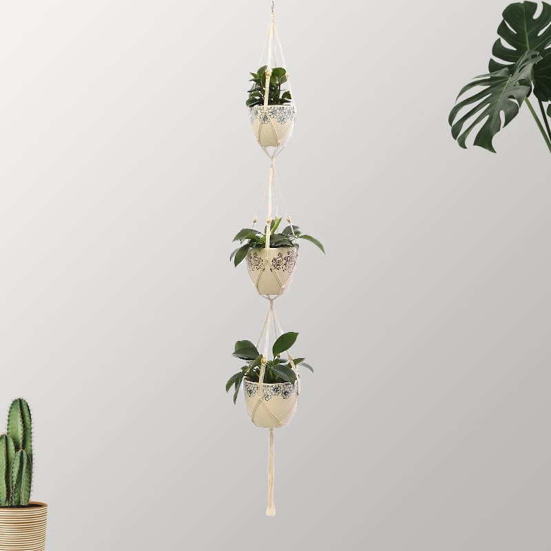 Suspension Macramé Trio de Plantes Esprit Macramé